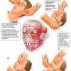 NST FLIP CHART – PROTO PLUS - Image 11