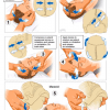 NST FLIP CHART – PROTO PLUS - Image 12