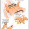 NST FLIP CHART – PROTO PLUS - Image 3