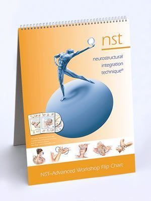 NST Flip Chart Advanced