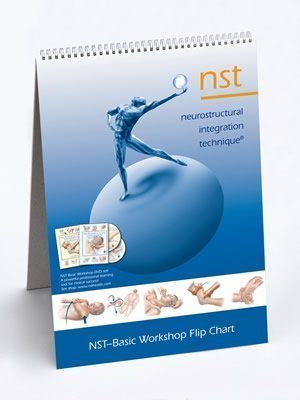 NST Flip Chart Basic