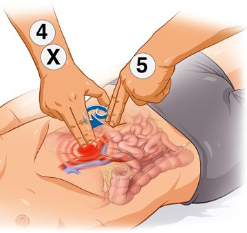 proto-plus-stomach