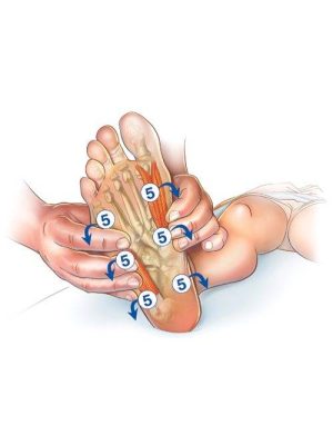 OS Advanced  17  –  20 September (Diest, Belgium)