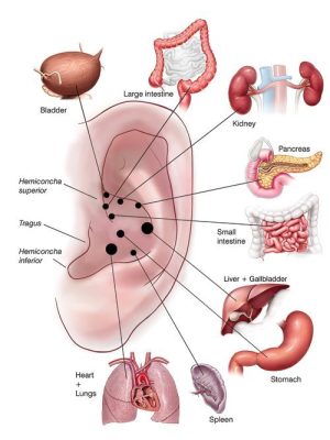 Deep Cures  29 – 31 May (Daventry, England)