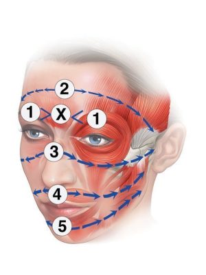 Proto Plus 15 – 17 october (Gotha, Germany)