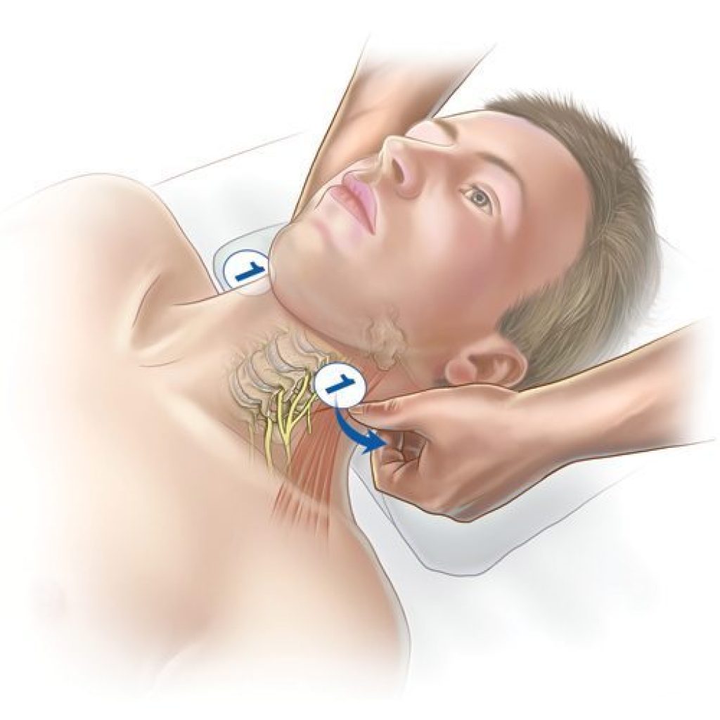 Osteospinal OS   08 – 12 September ( Kirchzarten, Germany)