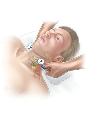 Osteospinal OS   08 – 12 September ( Kirchzarten, Germany)