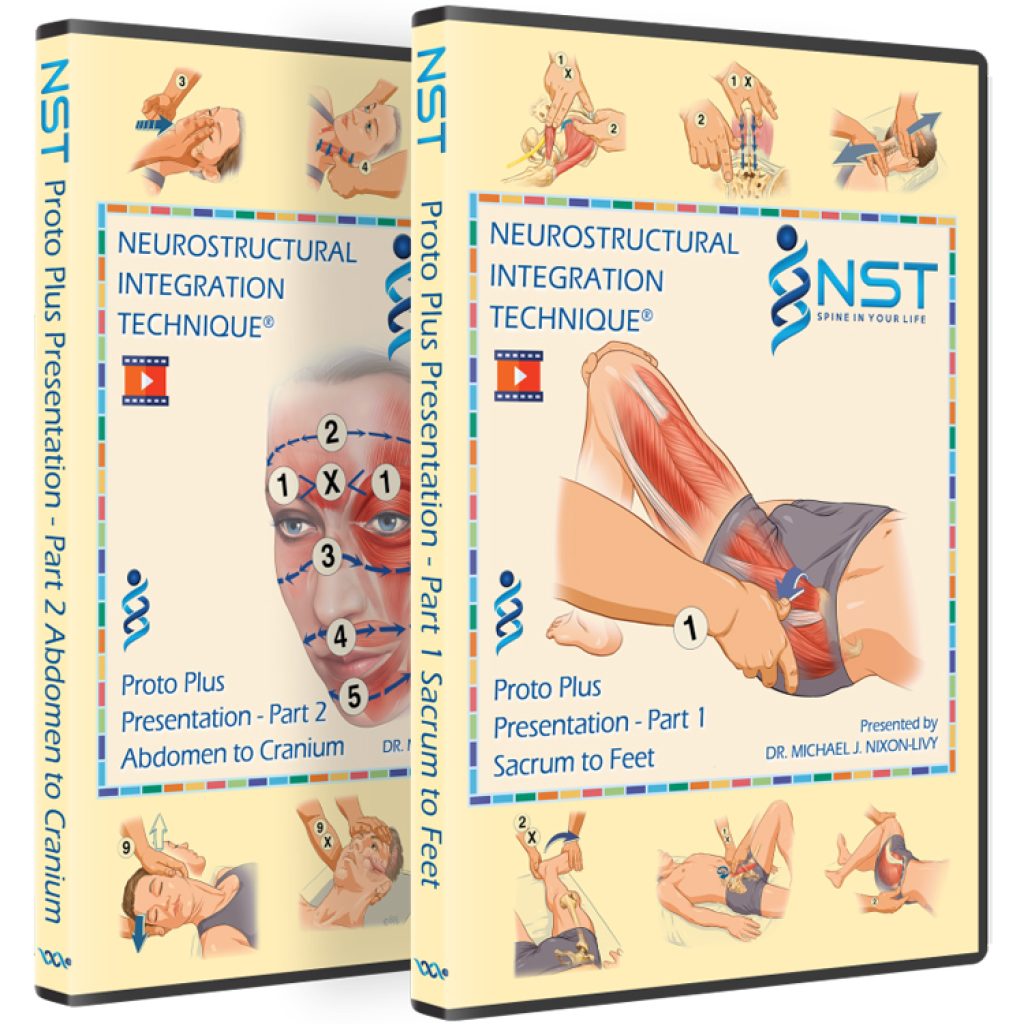 PROTO PLUS VIDEO TRAINING